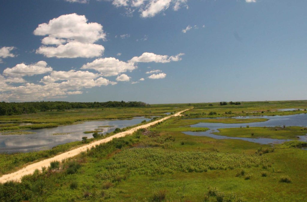 About the Refuge Friends of Forsythe National Wildlife Refuge