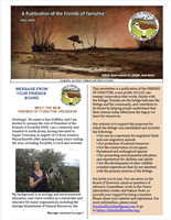 November 2020 newsletter cover