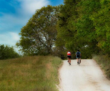 Honorable Mention The Ride by Neil Persh