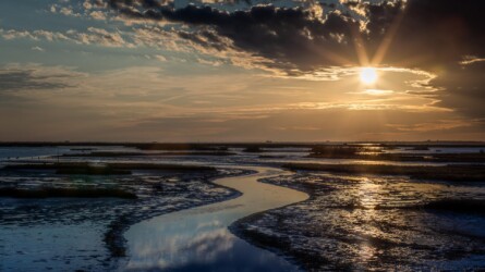 Artistic Achievement Award